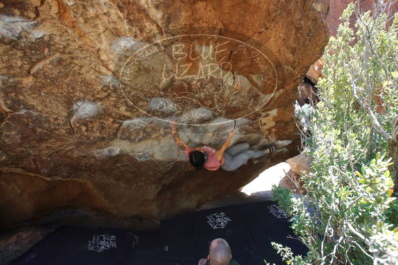 Bouldering in Hueco Tanks on 02/16/2020 with Blue Lizard Climbing and Yoga

Filename: SRM_20200216_1232190.jpg
Aperture: f/6.3
Shutter Speed: 1/250
Body: Canon EOS-1D Mark II
Lens: Canon EF 16-35mm f/2.8 L