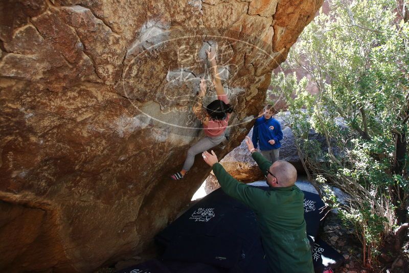 Bouldering in Hueco Tanks on 02/16/2020 with Blue Lizard Climbing and Yoga

Filename: SRM_20200216_1239130.jpg
Aperture: f/4.5
Shutter Speed: 1/250
Body: Canon EOS-1D Mark II
Lens: Canon EF 16-35mm f/2.8 L