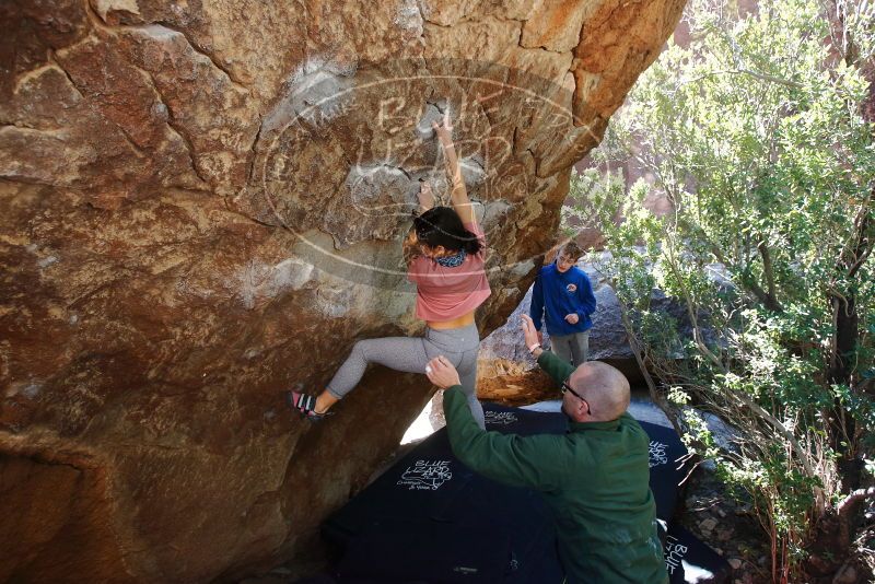 Bouldering in Hueco Tanks on 02/16/2020 with Blue Lizard Climbing and Yoga

Filename: SRM_20200216_1239140.jpg
Aperture: f/4.5
Shutter Speed: 1/250
Body: Canon EOS-1D Mark II
Lens: Canon EF 16-35mm f/2.8 L