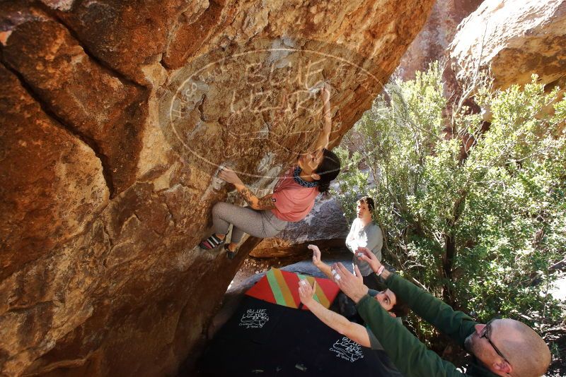 Bouldering in Hueco Tanks on 02/16/2020 with Blue Lizard Climbing and Yoga

Filename: SRM_20200216_1253430.jpg
Aperture: f/5.6
Shutter Speed: 1/250
Body: Canon EOS-1D Mark II
Lens: Canon EF 16-35mm f/2.8 L