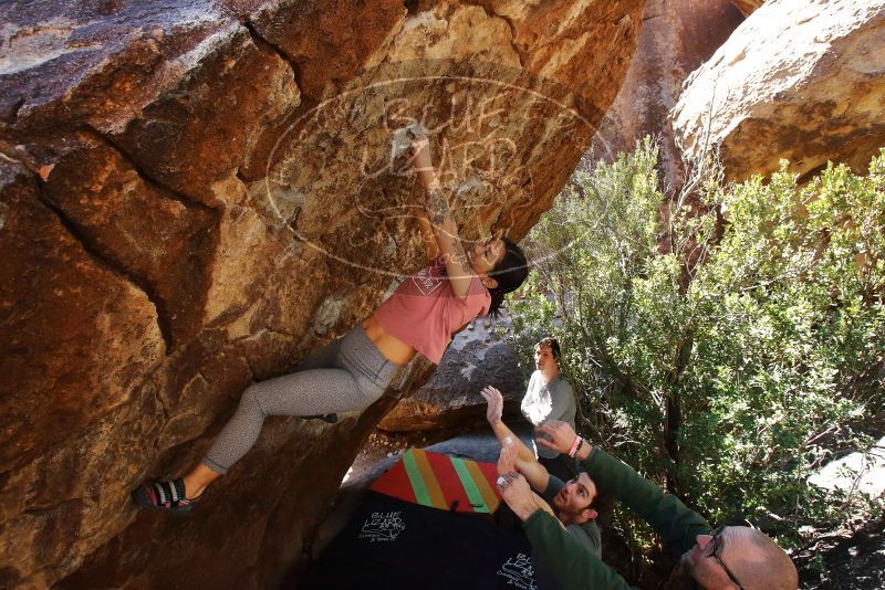 Bouldering in Hueco Tanks on 02/16/2020 with Blue Lizard Climbing and Yoga

Filename: SRM_20200216_1253480.jpg
Aperture: f/6.3
Shutter Speed: 1/250
Body: Canon EOS-1D Mark II
Lens: Canon EF 16-35mm f/2.8 L