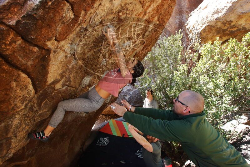 Bouldering in Hueco Tanks on 02/16/2020 with Blue Lizard Climbing and Yoga

Filename: SRM_20200216_1253520.jpg
Aperture: f/5.6
Shutter Speed: 1/250
Body: Canon EOS-1D Mark II
Lens: Canon EF 16-35mm f/2.8 L