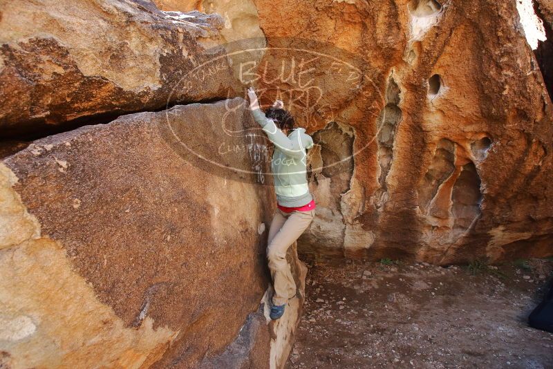 Bouldering in Hueco Tanks on 02/16/2020 with Blue Lizard Climbing and Yoga

Filename: SRM_20200216_1256330.jpg
Aperture: f/5.6
Shutter Speed: 1/250
Body: Canon EOS-1D Mark II
Lens: Canon EF 16-35mm f/2.8 L