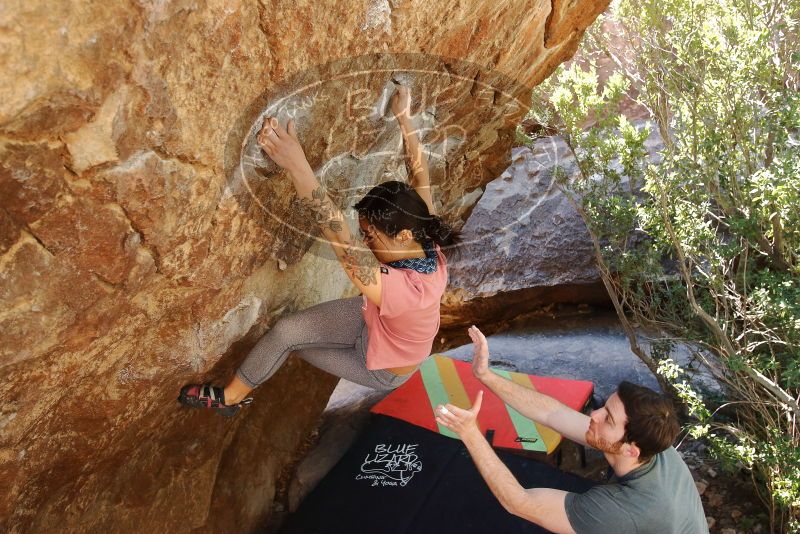 Bouldering in Hueco Tanks on 02/16/2020 with Blue Lizard Climbing and Yoga

Filename: SRM_20200216_1304260.jpg
Aperture: f/4.5
Shutter Speed: 1/250
Body: Canon EOS-1D Mark II
Lens: Canon EF 16-35mm f/2.8 L