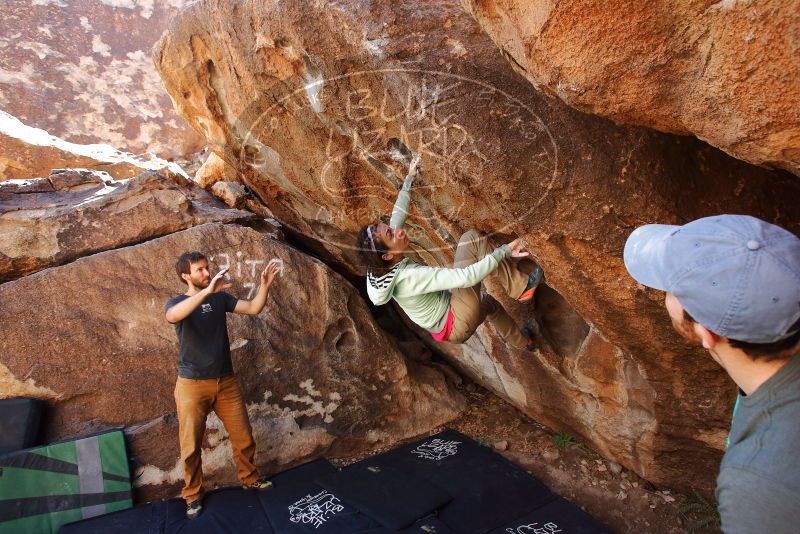Bouldering in Hueco Tanks on 02/16/2020 with Blue Lizard Climbing and Yoga

Filename: SRM_20200216_1318310.jpg
Aperture: f/5.0
Shutter Speed: 1/250
Body: Canon EOS-1D Mark II
Lens: Canon EF 16-35mm f/2.8 L