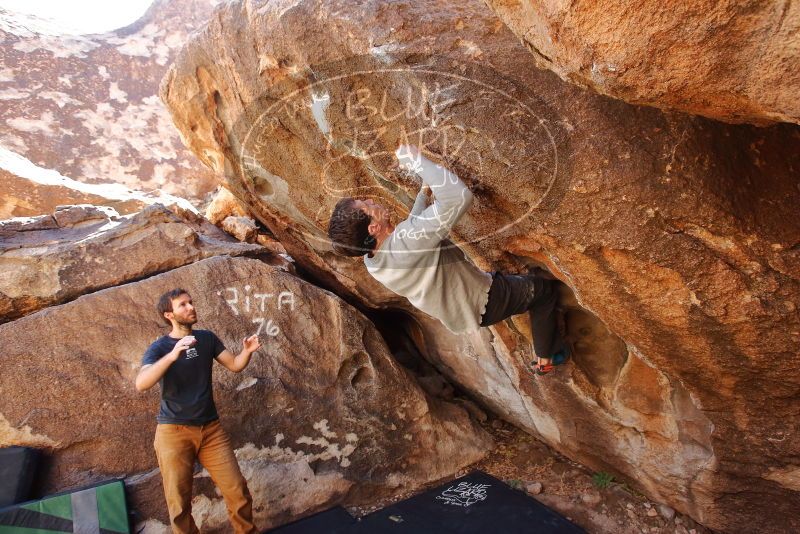 Bouldering in Hueco Tanks on 02/16/2020 with Blue Lizard Climbing and Yoga

Filename: SRM_20200216_1320090.jpg
Aperture: f/4.5
Shutter Speed: 1/250
Body: Canon EOS-1D Mark II
Lens: Canon EF 16-35mm f/2.8 L