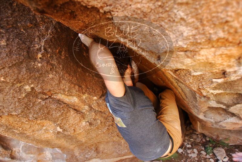 Bouldering in Hueco Tanks on 02/16/2020 with Blue Lizard Climbing and Yoga

Filename: SRM_20200216_1322080.jpg
Aperture: f/3.2
Shutter Speed: 1/250
Body: Canon EOS-1D Mark II
Lens: Canon EF 16-35mm f/2.8 L
