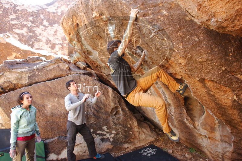 Bouldering in Hueco Tanks on 02/16/2020 with Blue Lizard Climbing and Yoga

Filename: SRM_20200216_1327310.jpg
Aperture: f/4.5
Shutter Speed: 1/250
Body: Canon EOS-1D Mark II
Lens: Canon EF 16-35mm f/2.8 L