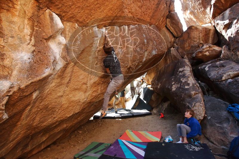 Bouldering in Hueco Tanks on 02/16/2020 with Blue Lizard Climbing and Yoga

Filename: SRM_20200216_1414100.jpg
Aperture: f/5.0
Shutter Speed: 1/250
Body: Canon EOS-1D Mark II
Lens: Canon EF 16-35mm f/2.8 L