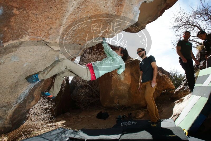 Bouldering in Hueco Tanks on 02/16/2020 with Blue Lizard Climbing and Yoga

Filename: SRM_20200216_1414380.jpg
Aperture: f/8.0
Shutter Speed: 1/250
Body: Canon EOS-1D Mark II
Lens: Canon EF 16-35mm f/2.8 L