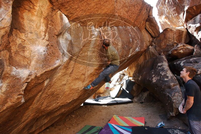 Bouldering in Hueco Tanks on 02/16/2020 with Blue Lizard Climbing and Yoga

Filename: SRM_20200216_1416470.jpg
Aperture: f/5.6
Shutter Speed: 1/250
Body: Canon EOS-1D Mark II
Lens: Canon EF 16-35mm f/2.8 L