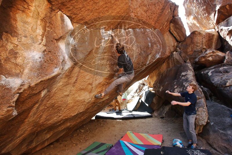 Bouldering in Hueco Tanks on 02/16/2020 with Blue Lizard Climbing and Yoga

Filename: SRM_20200216_1418150.jpg
Aperture: f/5.0
Shutter Speed: 1/250
Body: Canon EOS-1D Mark II
Lens: Canon EF 16-35mm f/2.8 L