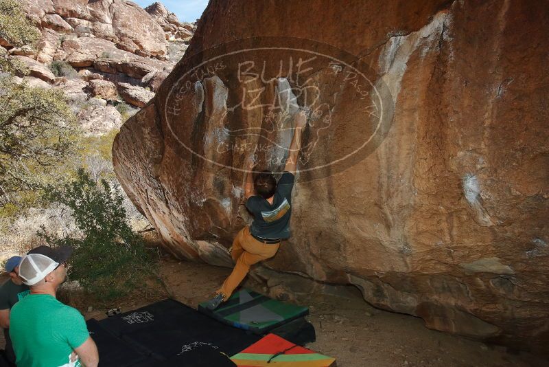 Bouldering in Hueco Tanks on 02/16/2020 with Blue Lizard Climbing and Yoga

Filename: SRM_20200216_1446570.jpg
Aperture: f/8.0
Shutter Speed: 1/250
Body: Canon EOS-1D Mark II
Lens: Canon EF 16-35mm f/2.8 L