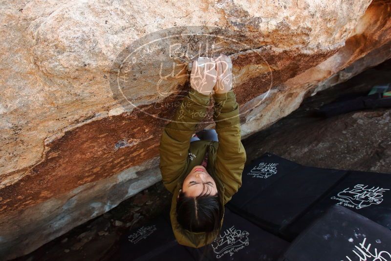 Bouldering in Hueco Tanks on 02/16/2020 with Blue Lizard Climbing and Yoga

Filename: SRM_20200216_1639111.jpg
Aperture: f/6.3
Shutter Speed: 1/250
Body: Canon EOS-1D Mark II
Lens: Canon EF 16-35mm f/2.8 L