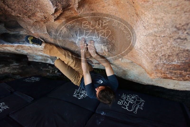 Bouldering in Hueco Tanks on 02/16/2020 with Blue Lizard Climbing and Yoga

Filename: SRM_20200216_1708330.jpg
Aperture: f/4.0
Shutter Speed: 1/250
Body: Canon EOS-1D Mark II
Lens: Canon EF 16-35mm f/2.8 L