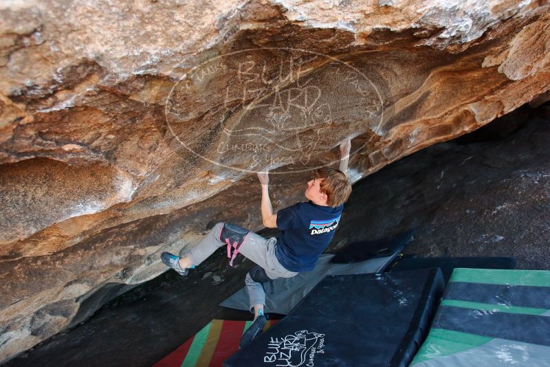 Bouldering in Hueco Tanks on 02/16/2020 with Blue Lizard Climbing and Yoga

Filename: SRM_20200216_1734100.jpg
Aperture: f/4.0
Shutter Speed: 1/250
Body: Canon EOS-1D Mark II
Lens: Canon EF 16-35mm f/2.8 L