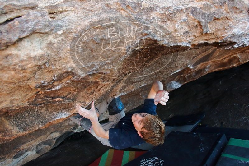 Bouldering in Hueco Tanks on 02/16/2020 with Blue Lizard Climbing and Yoga

Filename: SRM_20200216_1742530.jpg
Aperture: f/5.0
Shutter Speed: 1/250
Body: Canon EOS-1D Mark II
Lens: Canon EF 16-35mm f/2.8 L