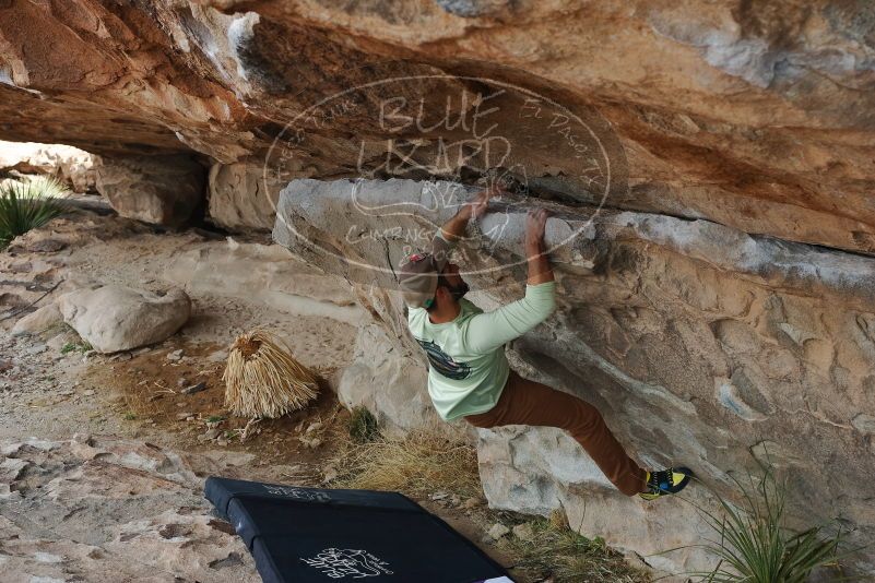 Bouldering in Hueco Tanks on 02/17/2020 with Blue Lizard Climbing and Yoga

Filename: SRM_20200217_1153320.jpg
Aperture: f/5.6
Shutter Speed: 1/250
Body: Canon EOS-1D Mark II
Lens: Canon EF 50mm f/1.8 II