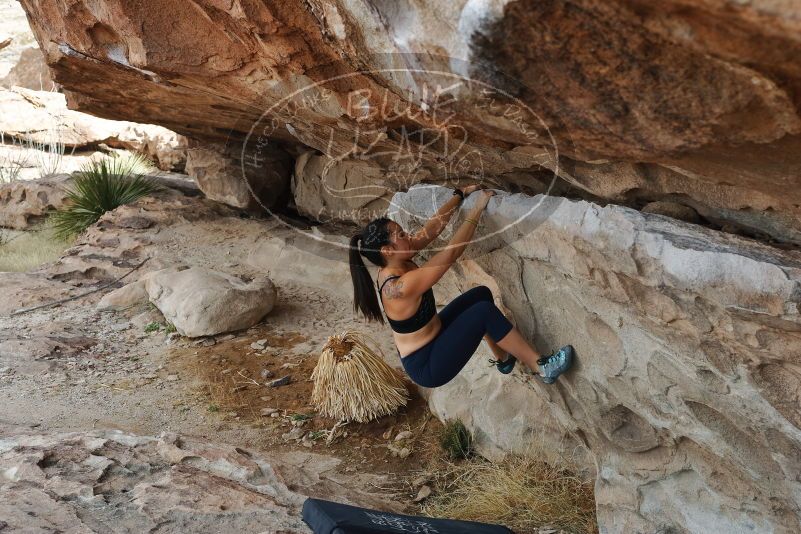 Bouldering in Hueco Tanks on 02/17/2020 with Blue Lizard Climbing and Yoga

Filename: SRM_20200217_1154180.jpg
Aperture: f/5.6
Shutter Speed: 1/250
Body: Canon EOS-1D Mark II
Lens: Canon EF 50mm f/1.8 II