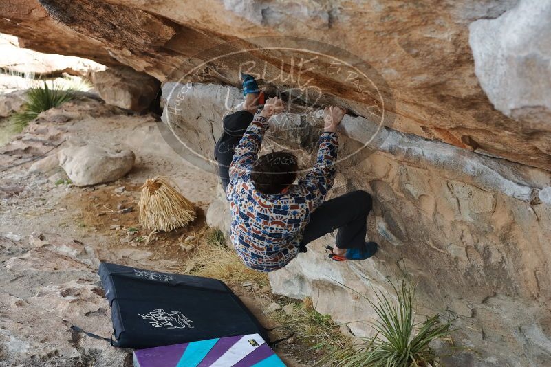 Bouldering in Hueco Tanks on 02/17/2020 with Blue Lizard Climbing and Yoga

Filename: SRM_20200217_1157390.jpg
Aperture: f/5.0
Shutter Speed: 1/250
Body: Canon EOS-1D Mark II
Lens: Canon EF 50mm f/1.8 II