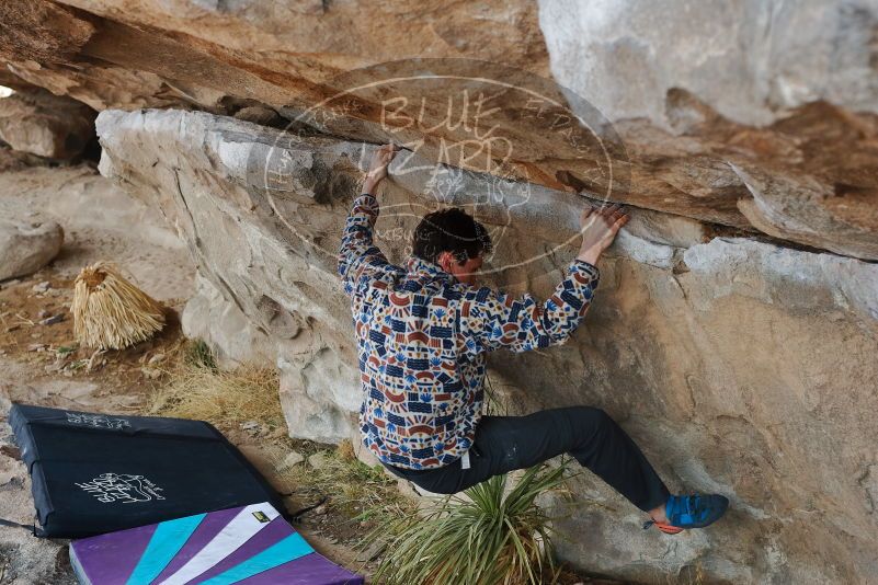 Bouldering in Hueco Tanks on 02/17/2020 with Blue Lizard Climbing and Yoga

Filename: SRM_20200217_1157450.jpg
Aperture: f/5.0
Shutter Speed: 1/250
Body: Canon EOS-1D Mark II
Lens: Canon EF 50mm f/1.8 II