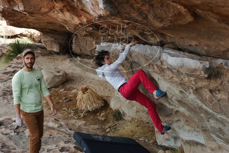 Bouldering in Hueco Tanks on 02/17/2020 with Blue Lizard Climbing and Yoga

Filename: SRM_20200217_1159550.jpg
Aperture: f/4.5
Shutter Speed: 1/320
Body: Canon EOS-1D Mark II
Lens: Canon EF 50mm f/1.8 II