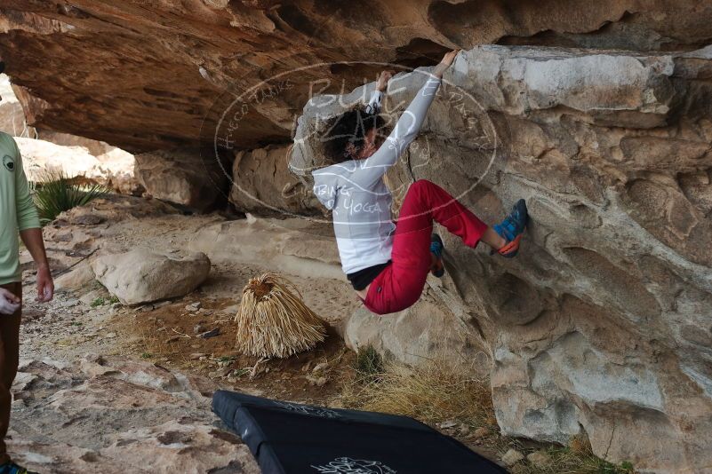Bouldering in Hueco Tanks on 02/17/2020 with Blue Lizard Climbing and Yoga

Filename: SRM_20200217_1200060.jpg
Aperture: f/4.5
Shutter Speed: 1/320
Body: Canon EOS-1D Mark II
Lens: Canon EF 50mm f/1.8 II
