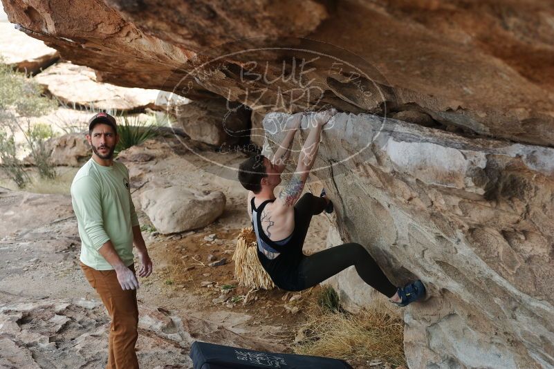 Bouldering in Hueco Tanks on 02/17/2020 with Blue Lizard Climbing and Yoga

Filename: SRM_20200217_1200490.jpg
Aperture: f/4.0
Shutter Speed: 1/320
Body: Canon EOS-1D Mark II
Lens: Canon EF 50mm f/1.8 II