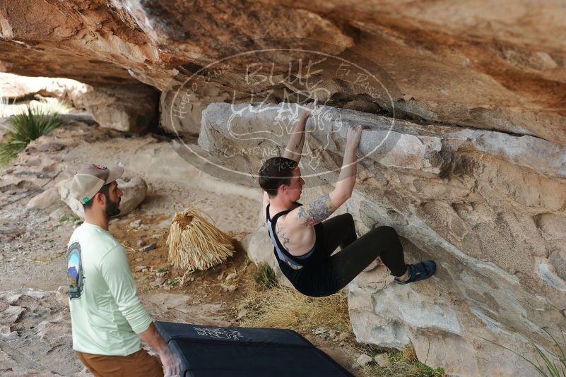 Bouldering in Hueco Tanks on 02/17/2020 with Blue Lizard Climbing and Yoga

Filename: SRM_20200217_1201000.jpg
Aperture: f/3.5
Shutter Speed: 1/320
Body: Canon EOS-1D Mark II
Lens: Canon EF 50mm f/1.8 II