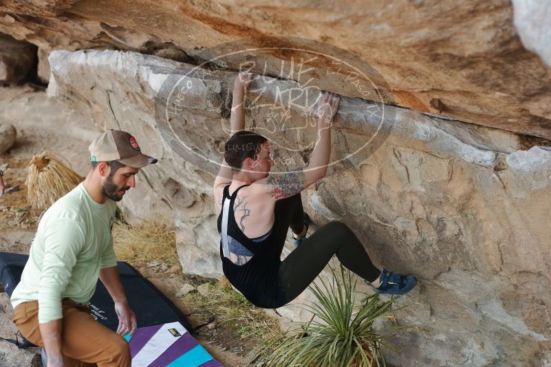 Bouldering in Hueco Tanks on 02/17/2020 with Blue Lizard Climbing and Yoga

Filename: SRM_20200217_1201460.jpg
Aperture: f/3.2
Shutter Speed: 1/320
Body: Canon EOS-1D Mark II
Lens: Canon EF 50mm f/1.8 II