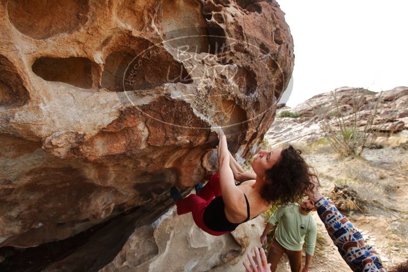 Bouldering in Hueco Tanks on 02/17/2020 with Blue Lizard Climbing and Yoga

Filename: SRM_20200217_1216500.jpg
Aperture: f/6.3
Shutter Speed: 1/250
Body: Canon EOS-1D Mark II
Lens: Canon EF 16-35mm f/2.8 L