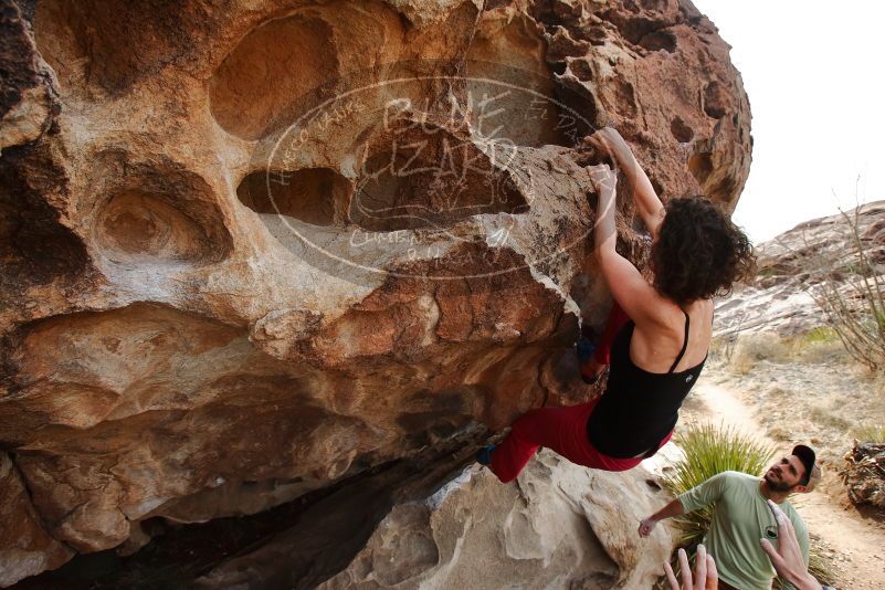 Bouldering in Hueco Tanks on 02/17/2020 with Blue Lizard Climbing and Yoga

Filename: SRM_20200217_1217040.jpg
Aperture: f/6.3
Shutter Speed: 1/250
Body: Canon EOS-1D Mark II
Lens: Canon EF 16-35mm f/2.8 L
