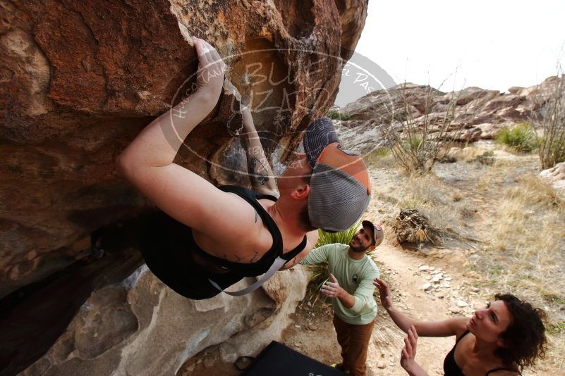 Bouldering in Hueco Tanks on 02/17/2020 with Blue Lizard Climbing and Yoga

Filename: SRM_20200217_1220020.jpg
Aperture: f/7.1
Shutter Speed: 1/250
Body: Canon EOS-1D Mark II
Lens: Canon EF 16-35mm f/2.8 L