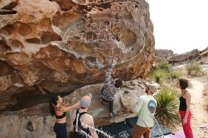 Bouldering in Hueco Tanks on 02/17/2020 with Blue Lizard Climbing and Yoga

Filename: SRM_20200217_1225280.jpg
Aperture: f/7.1
Shutter Speed: 1/250
Body: Canon EOS-1D Mark II
Lens: Canon EF 16-35mm f/2.8 L
