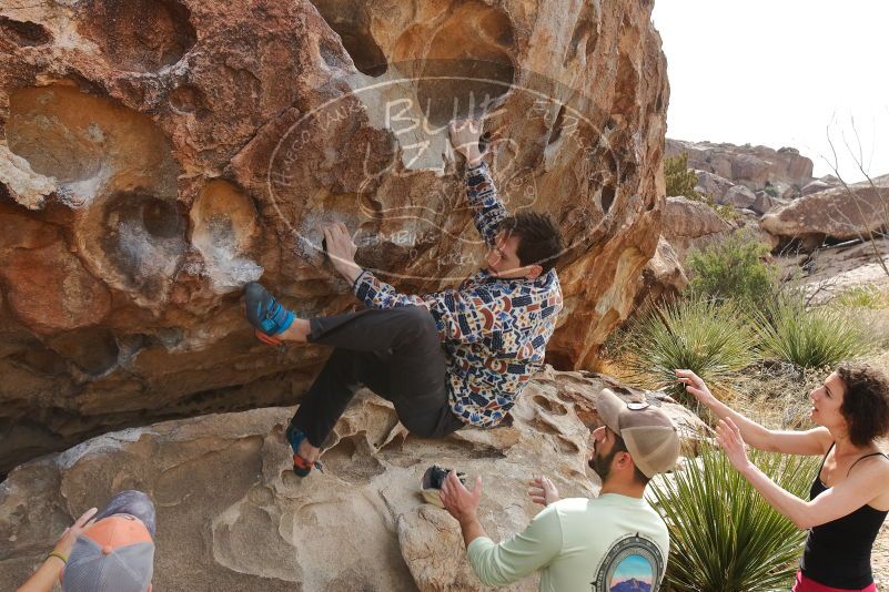 Bouldering in Hueco Tanks on 02/17/2020 with Blue Lizard Climbing and Yoga

Filename: SRM_20200217_1225370.jpg
Aperture: f/7.1
Shutter Speed: 1/250
Body: Canon EOS-1D Mark II
Lens: Canon EF 16-35mm f/2.8 L