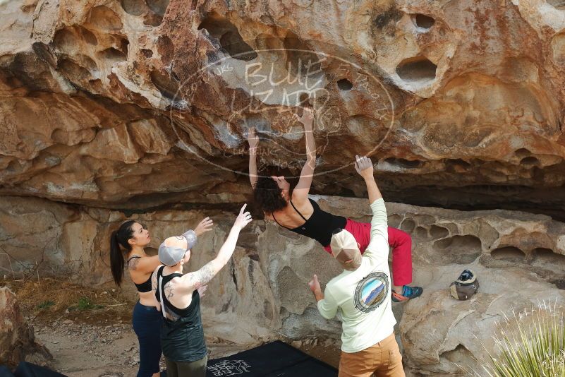 Bouldering in Hueco Tanks on 02/17/2020 with Blue Lizard Climbing and Yoga

Filename: SRM_20200217_1227370.jpg
Aperture: f/4.0
Shutter Speed: 1/400
Body: Canon EOS-1D Mark II
Lens: Canon EF 50mm f/1.8 II