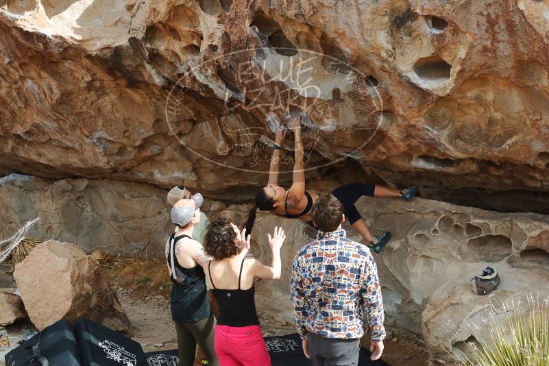 Bouldering in Hueco Tanks on 02/17/2020 with Blue Lizard Climbing and Yoga

Filename: SRM_20200217_1229580.jpg
Aperture: f/4.0
Shutter Speed: 1/400
Body: Canon EOS-1D Mark II
Lens: Canon EF 50mm f/1.8 II