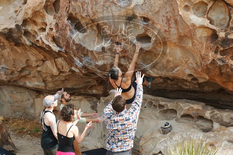 Bouldering in Hueco Tanks on 02/17/2020 with Blue Lizard Climbing and Yoga

Filename: SRM_20200217_1230420.jpg
Aperture: f/4.0
Shutter Speed: 1/400
Body: Canon EOS-1D Mark II
Lens: Canon EF 50mm f/1.8 II