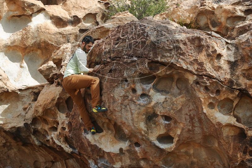 Bouldering in Hueco Tanks on 02/17/2020 with Blue Lizard Climbing and Yoga

Filename: SRM_20200217_1232200.jpg
Aperture: f/5.0
Shutter Speed: 1/400
Body: Canon EOS-1D Mark II
Lens: Canon EF 50mm f/1.8 II