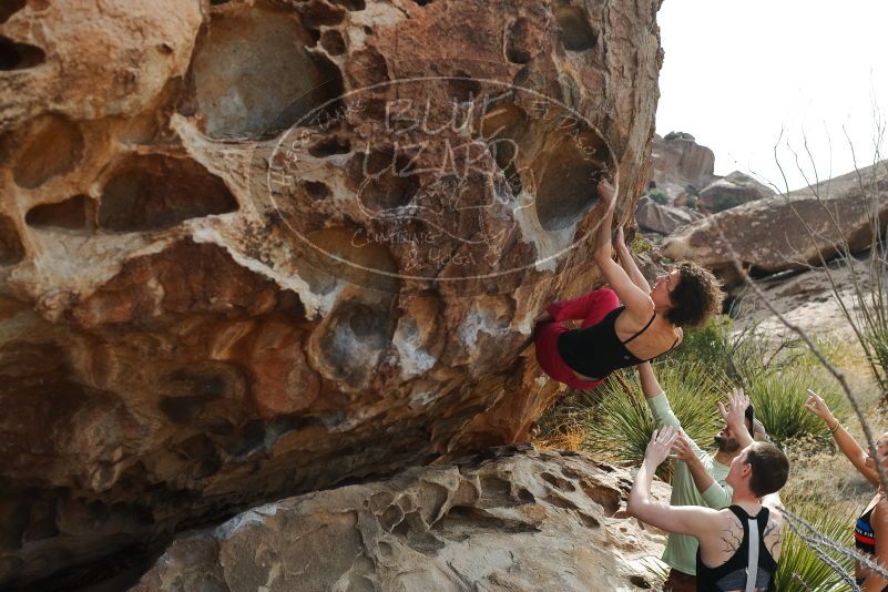 Bouldering in Hueco Tanks on 02/17/2020 with Blue Lizard Climbing and Yoga

Filename: SRM_20200217_1242370.jpg
Aperture: f/4.5
Shutter Speed: 1/400
Body: Canon EOS-1D Mark II
Lens: Canon EF 50mm f/1.8 II