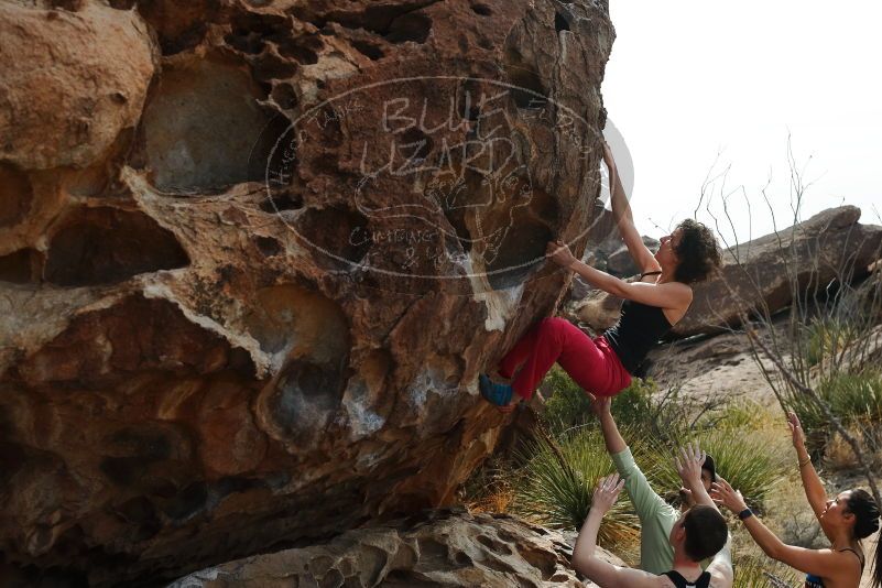 Bouldering in Hueco Tanks on 02/17/2020 with Blue Lizard Climbing and Yoga

Filename: SRM_20200217_1242430.jpg
Aperture: f/5.6
Shutter Speed: 1/400
Body: Canon EOS-1D Mark II
Lens: Canon EF 50mm f/1.8 II