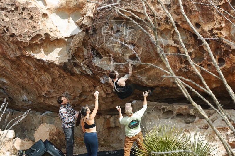 Bouldering in Hueco Tanks on 02/17/2020 with Blue Lizard Climbing and Yoga

Filename: SRM_20200217_1245080.jpg
Aperture: f/5.0
Shutter Speed: 1/400
Body: Canon EOS-1D Mark II
Lens: Canon EF 50mm f/1.8 II