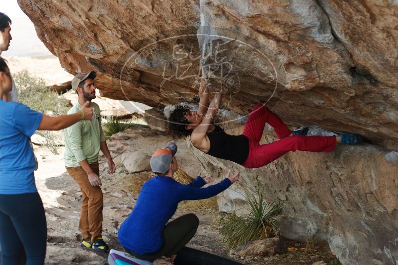 Bouldering in Hueco Tanks on 02/17/2020 with Blue Lizard Climbing and Yoga

Filename: SRM_20200217_1334010.jpg
Aperture: f/3.5
Shutter Speed: 1/400
Body: Canon EOS-1D Mark II
Lens: Canon EF 50mm f/1.8 II