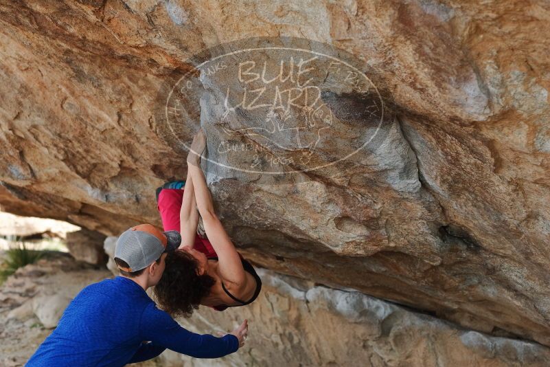 Bouldering in Hueco Tanks on 02/17/2020 with Blue Lizard Climbing and Yoga

Filename: SRM_20200217_1334410.jpg
Aperture: f/3.5
Shutter Speed: 1/400
Body: Canon EOS-1D Mark II
Lens: Canon EF 50mm f/1.8 II