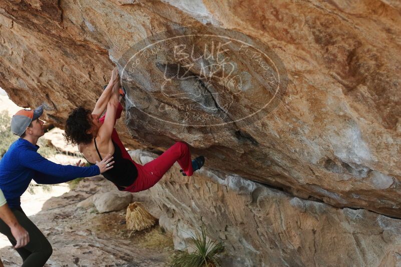 Bouldering in Hueco Tanks on 02/17/2020 with Blue Lizard Climbing and Yoga

Filename: SRM_20200217_1335060.jpg
Aperture: f/4.0
Shutter Speed: 1/400
Body: Canon EOS-1D Mark II
Lens: Canon EF 50mm f/1.8 II