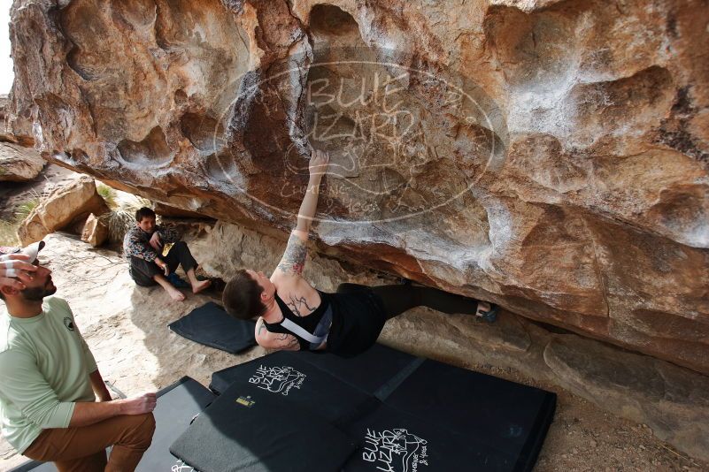Bouldering in Hueco Tanks on 02/17/2020 with Blue Lizard Climbing and Yoga

Filename: SRM_20200217_1433310.jpg
Aperture: f/4.5
Shutter Speed: 1/250
Body: Canon EOS-1D Mark II
Lens: Canon EF 16-35mm f/2.8 L