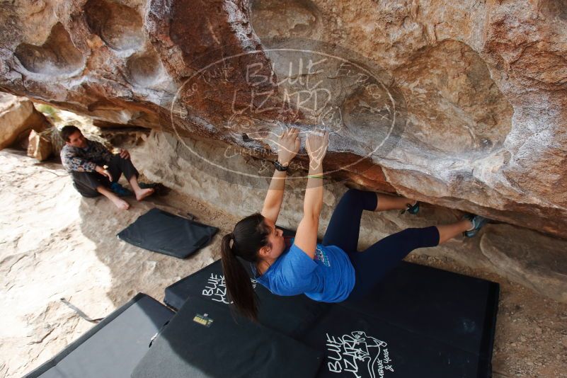 Bouldering in Hueco Tanks on 02/17/2020 with Blue Lizard Climbing and Yoga

Filename: SRM_20200217_1434310.jpg
Aperture: f/5.6
Shutter Speed: 1/250
Body: Canon EOS-1D Mark II
Lens: Canon EF 16-35mm f/2.8 L