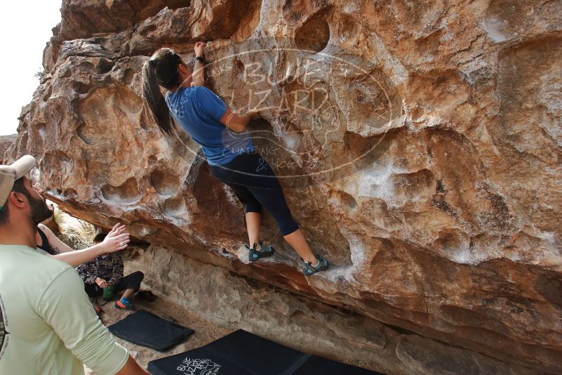 Bouldering in Hueco Tanks on 02/17/2020 with Blue Lizard Climbing and Yoga

Filename: SRM_20200217_1436170.jpg
Aperture: f/6.3
Shutter Speed: 1/250
Body: Canon EOS-1D Mark II
Lens: Canon EF 16-35mm f/2.8 L