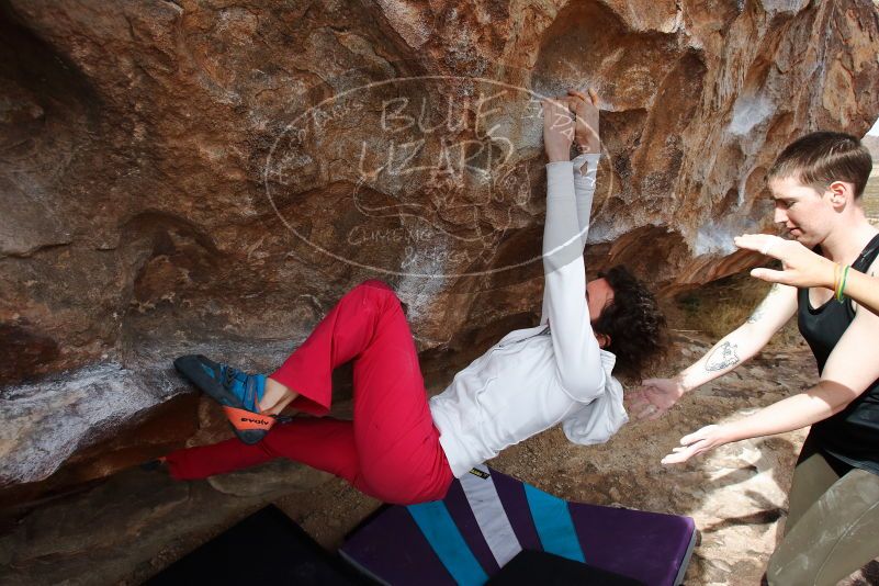 Bouldering in Hueco Tanks on 02/17/2020 with Blue Lizard Climbing and Yoga

Filename: SRM_20200217_1444500.jpg
Aperture: f/6.3
Shutter Speed: 1/400
Body: Canon EOS-1D Mark II
Lens: Canon EF 16-35mm f/2.8 L