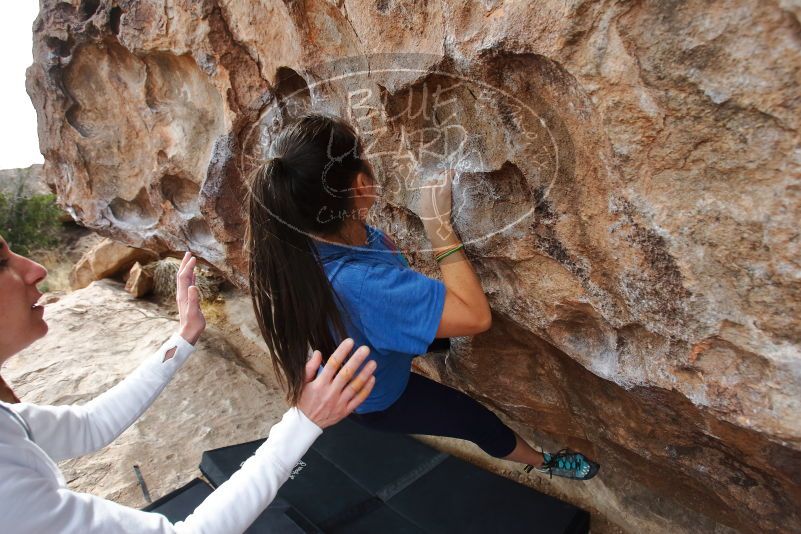 Bouldering in Hueco Tanks on 02/17/2020 with Blue Lizard Climbing and Yoga

Filename: SRM_20200217_1447590.jpg
Aperture: f/5.0
Shutter Speed: 1/320
Body: Canon EOS-1D Mark II
Lens: Canon EF 16-35mm f/2.8 L